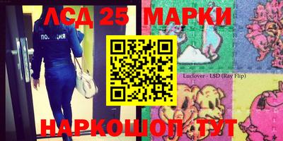 эйфоретик Кимры