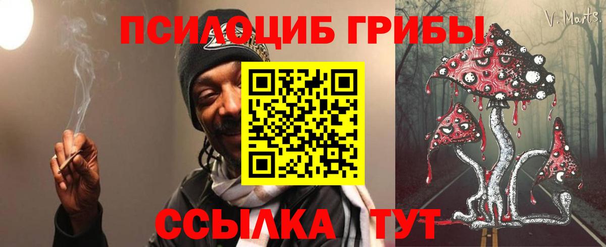 Галлюциногенные грибы Psilocybe  Вход с VPN  Красногорск  Псилоцибиновые грибы мухоморы 