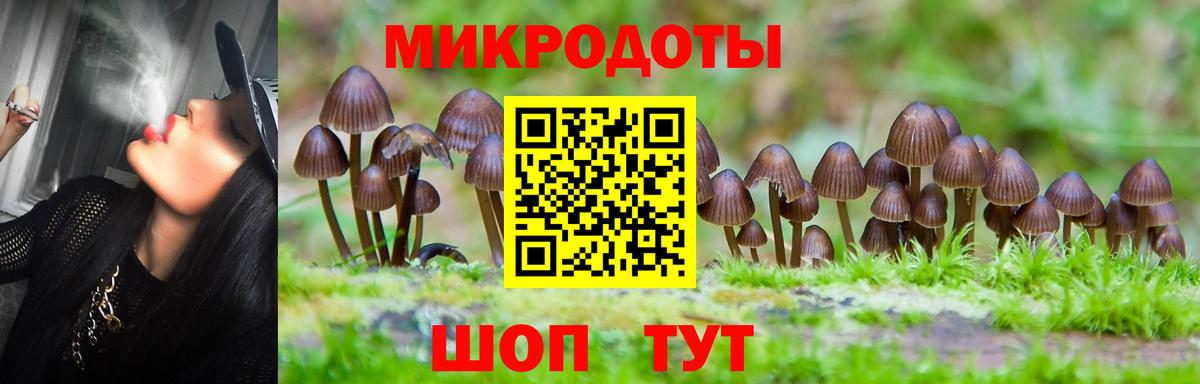 Псилоцибиновые грибы GOLDEN TEACHER Красногорск